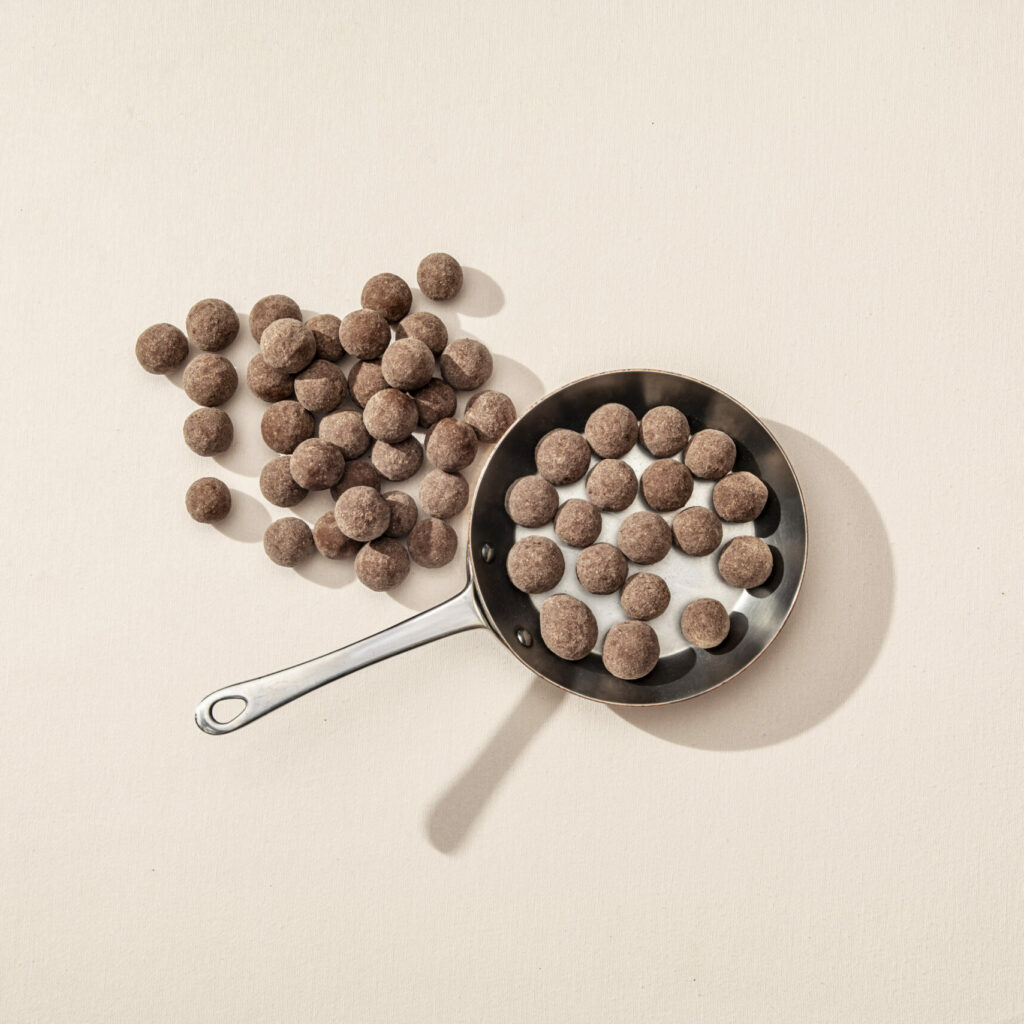 Noisettes enrobées de chocolat au lait