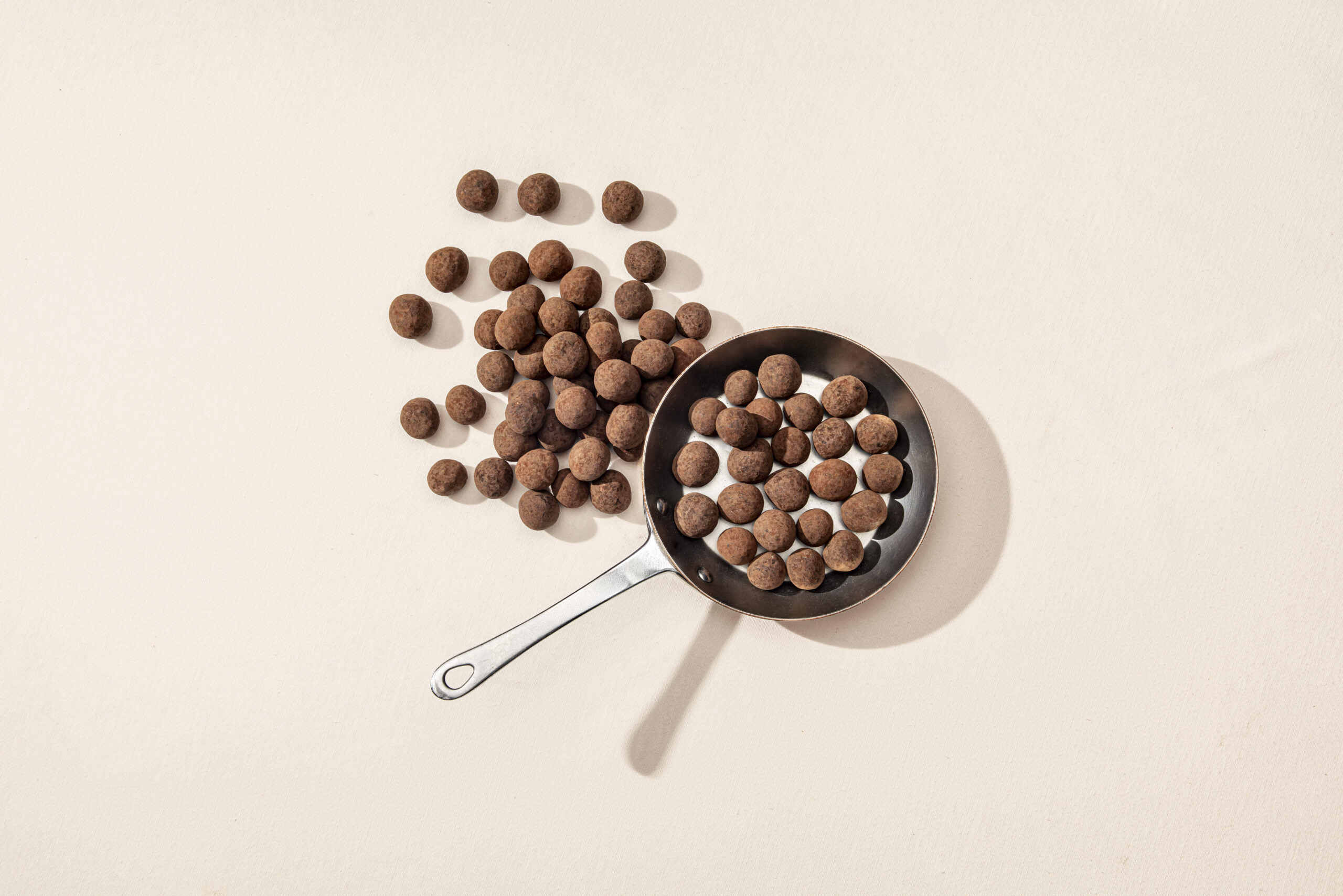 Noisettes enrobées de chocolat noir