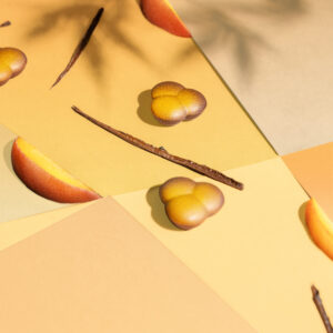 Alternative view of Trèfles sauciers - « A l’ombre des pêchers »